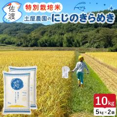 �ߘa7�N�Y ���n�Y�ɂ��̂���߂� 10kg (����/����)(/������/7���Â��F�L��)  �y���_���̂��� ���R�[�ō͔|�������ʍ͔|�� �y���ʕւŔ�