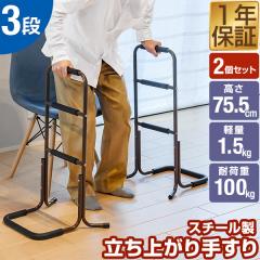 矢崎化工 手すり付ステップ台 ユニットタイプ 2段 ブラウン 手摺 介護用品 手すり付ステップ台 ユニットタイプ 2段 CHE-2 - 住宅改修関連商品