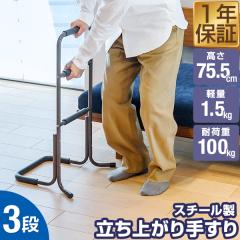 矢崎化工 株式会社 手すり付ｽﾃｯﾌﾟ台 ﾕﾆｯﾄﾀｲﾌﾟ 2段 CHE-2 （ﾏｯﾄ・ﾌﾚｰﾑ色