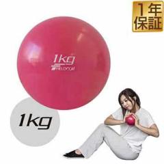 fBV{[ 1kg \tg EFCg{[ {[ g[jO EFCg EFCgg[jO EGCg ̊ ̊g[jO tB