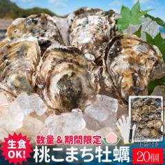 桃こまち 牡蠣 20個入 殻付き牡蠣 生食可(牡蠣ナイフ・片手用軍手付き)三重県鳥羽の離島 桃取の希少牡蛎 浦村 発泡箱入り 父の日 ギ