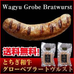 �� �M�t�g ���̓� ������ �l�ߍ��킹 �������� Gift �ŏ㋉�Ƃ����a���O���[�x�u���[�g�����X�g