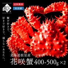 �y�Y�n�����z�k�C�� �����Y ���Ⓚ �ԍ�K�j(�p) 400-500g�O�� 2���Z�b�g�y�`���h�z�y���������z�k�C�� �����񂹃O���� ���� �I �M�t�g