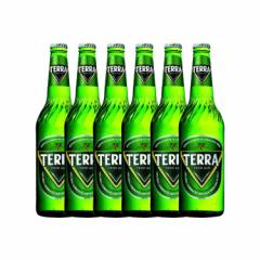 yJINROz TERRA r[(r) 500ml x 6{Zbg ؍ No.1 rr[ er[ 򔞉100AAY_100gpIy؍HiE