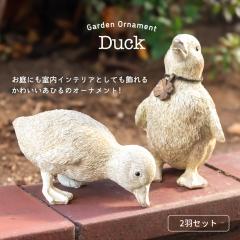 K[fjOG K[fjO I[ig  u ~j R[_bN Ђ AeB[N i`  Aj} K[f