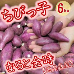 ���܈� ����� ���т��q�Ȃ�Ƌ��� 6kg �������Y �@