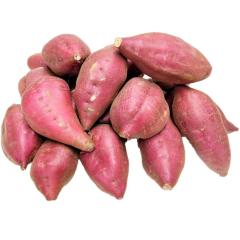 ���܈� ����� �Ȃ�Ƌ��� ��5kg 2L~L�T�C�Y �������Y �@