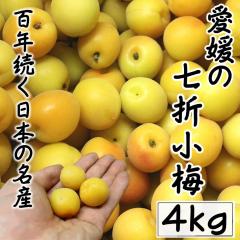 �\��̔� �z�����w��s�@���Q���Y�@���܏��~�@��4kg  ���~