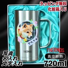 �y���ϔ�����z �ʐ^���� �r�[���W���b�L �T�[���X ������ �v���[���g �^��f�M �ۉ� �ۗ� �X�e�����X ���O���� �y�b�g �����̎q �ʐ^ �O