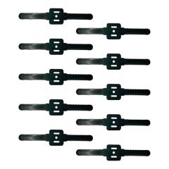 �i�C�����n10��