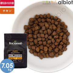 ブラックウッド パピー 7.05kg