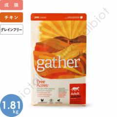 GATHER MU[ t[G[J[Lbg 1.81kg