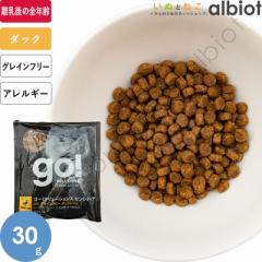 GO! \[VY LID _bN 30g Lbgt[h