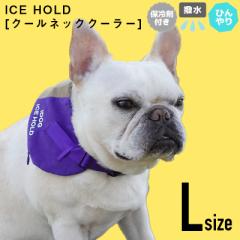 iDog ICE HOLD N[lbNN[[ ۗܕt  LTCY