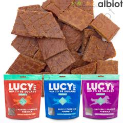 LUCY PET ���[�V�[�y�b�g Hip to Be Square �h�b�O�g���[�c