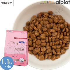 i`n[xXg tPApHÖ@H LhjA 1.1kg~6 (Wbp[t)
