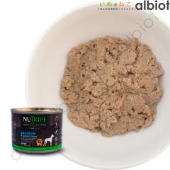 �j���[�g���C�v �T�[�������O���[���g���C�v�� 185g�y�s���A�z