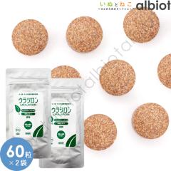 �X�P�A�N���E �E���W���� 60�� �~ 2�� �����p�h�{�⏕�H�i