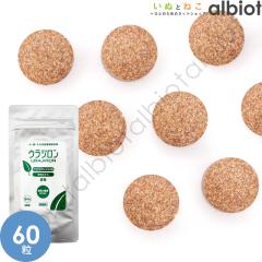 �X�P�A�N���E �E���W���� 60�� �����p�h�{�⏕�H�i