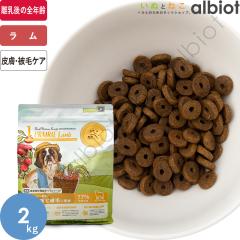 ���A���l�C�`���[���V�s No.1 �v���C���[���� �h�b�O�t�[�h 2kg