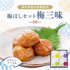 �~���� �y���������z�~���� ���~�O�� 4�_�Z�b�g   ������ �O���� ose24_f ������_stg