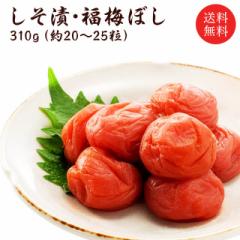 �~���� �y���������z�y���Y���z�����Е��~�ڂ�310g  ������ �O���� ������_stg