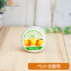 �o�d�s �g�n�t�r�d �L�����h�� S �t���b�V���V�g���X �~1��(21449)