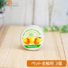 �o�d�s �g�n�t�r�d �L�����h�� S �t���b�V���V�g���X �~3��(21449)