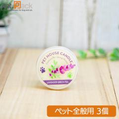 �o�d�s �g�n�t�r�d �L�����h�� S ���x���_�[�O���[���e�B�[ �~3��(21456)