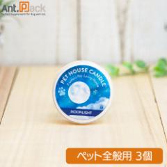 �o�d�s �g�n�t�r�d �L�����h�� S ���[�����C�g �~3��(95323)