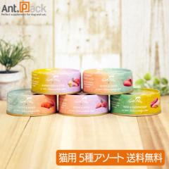 �e���t�F���X �}���`�v���e�C�� �A�\�[�g�Z�b�g �L�p 80g�~5�� 