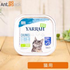 �����[ �`�L���Ƌ��̃L���b�g�`�����N �L�p 100g�m�l�R�|�X�����n6�_�܂Łi00433�j