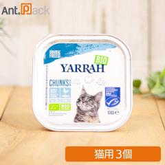 �����[ �`�L���Ƌ��̃L���b�g�`�����N �L�p 100g�~3�m�l�R�|�X�����n2�_�܂Łi00433�j