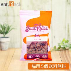 �\�E�����C�g �G�A�h���C�t�[�h �`�L�� �L�p 30g�~5�i80305�j