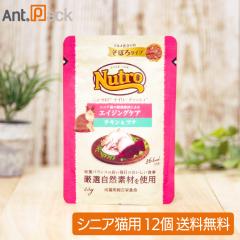 �j���[�g�� �L���b�g �f�C���[ �f�B�b�V�� �G�C�W���O�P�A �`�L�����c�i �O�����d���Ă̂��ڂ�^�C�v �p�E�` 35g�~12�i63991�j