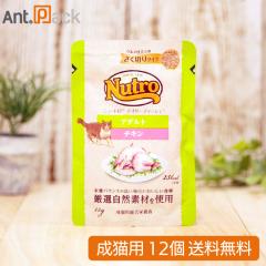 �j���[�g�� �L���b�g �f�C���[ �f�B�b�V�� �A�_���g �`�L�� �O�����d���Ă̂����؂�^�C�v �p�E�` 35g�~12�i68781�j