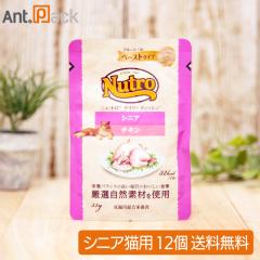 �j���[�g�� �L���b�g �f�C���[ �f�B�b�V�� �V�j�A�L�p �`�L�� �N���[�~�[�ȃy�[�X�g�^�C�v �p�E�` 35g�~12�i68828�j