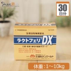 yzX NgtFDX Lp ̏d1kg`10kg 11g30