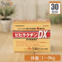 XT[h rqN`DX ep ̏d1kg`9kg 11g30