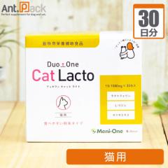 j Duo One Cat Lacto(jɂ GOLD) Lp 11g30