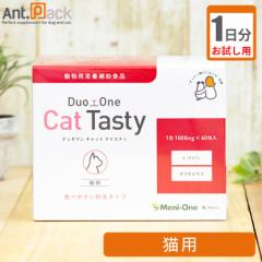 y1zj Duo One Cat Tasty ^Cv(jɂ Eye+  )  Lp 1g P