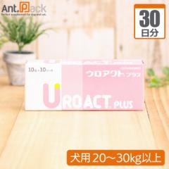 �y���������z�S�� �E���A�N�g �v���X ���p �̏d20kg�`30kg 1��3��30����