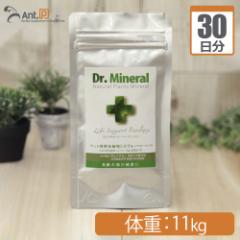 yzhN^[~l/Dr.MineralpE_[ Lp ̏d11kg 11.1g30