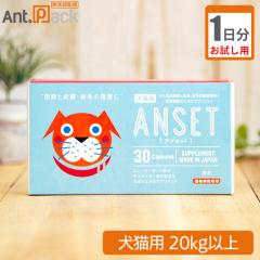 �y������1�����z�G�����R�W���p�� �A���Z�b�g ���L�p �̏d20kg�ȏ� 1��2��