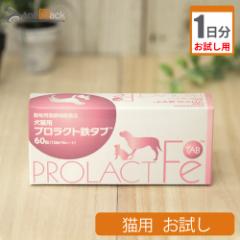 �y������1�����z�������� �v�����N�g�S�^�u �L�p 1�� 1����