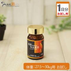 �y������1�����z���� ���ۗ{�\ �~���đ� ���L�p �̏d27.5kg�`30kg�p 0.6g 1����