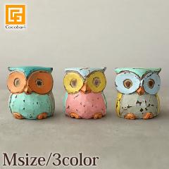 �ؒ���̃t�N���E�̒u��(M�T�C�Y) �u�� ���N�� �G�� �v���[���g �ӂ��낤 ���G�� ������� ���킢�� �A�W�A���G�� �o���G�� �i�`������ 