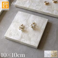 VF fBXvCXe[W10~10cm [֑Ή ANZT[ fBXvC Xe[W  Xܗpi Y  nhCh 