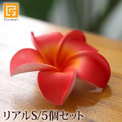 �v�������A�̑���S(5�Z�b�g)���A�� ���b�h  ���[���֑Ή��� ���� �p�[�c �썑  �g���s�J�� �o���G�� �n���C