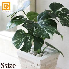 �����X�e���������^�C�v(S) ���� �썑 �A�[�g�t�����[ �A�[�g���[�t �g���s�J�� ������